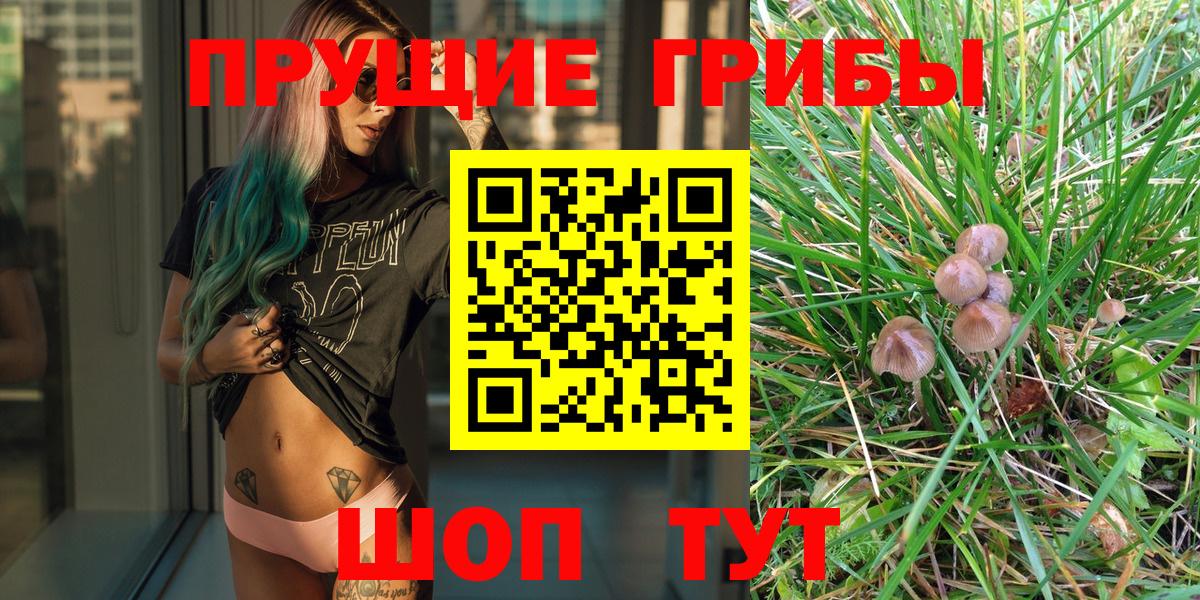Галлюциногенные грибы GOLDEN TEACHER Киров