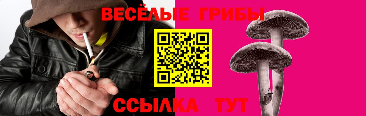 Псилоцибиновые грибы Psilocybe  Вход с VPN  Киров 
