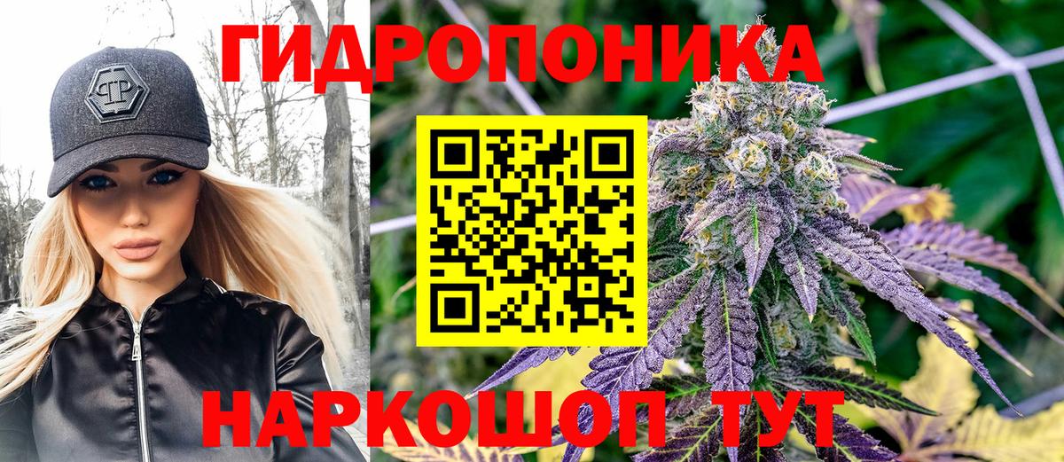 Марихуана планчик  Каннабис план  Киров  Канабис семена  Вход с VPN 